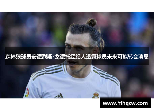 森林狼球员安德烈斯-戈德托经纪人透露球员未来可能转会消息