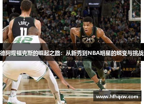 德阿隆福克斯的崛起之路：从新秀到NBA明星的蜕变与挑战